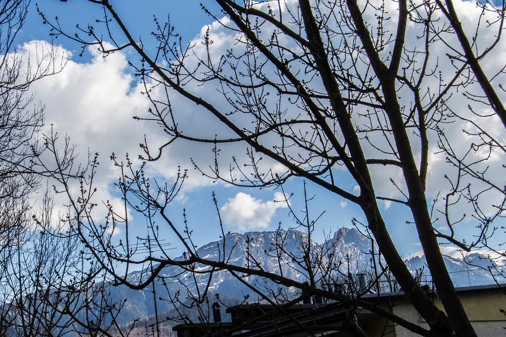 Apartament Owcze Runo Zakopane Zewnętrze zdjęcie