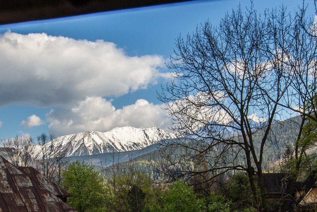 Apartament Owcze Runo Zakopane Zewnętrze zdjęcie